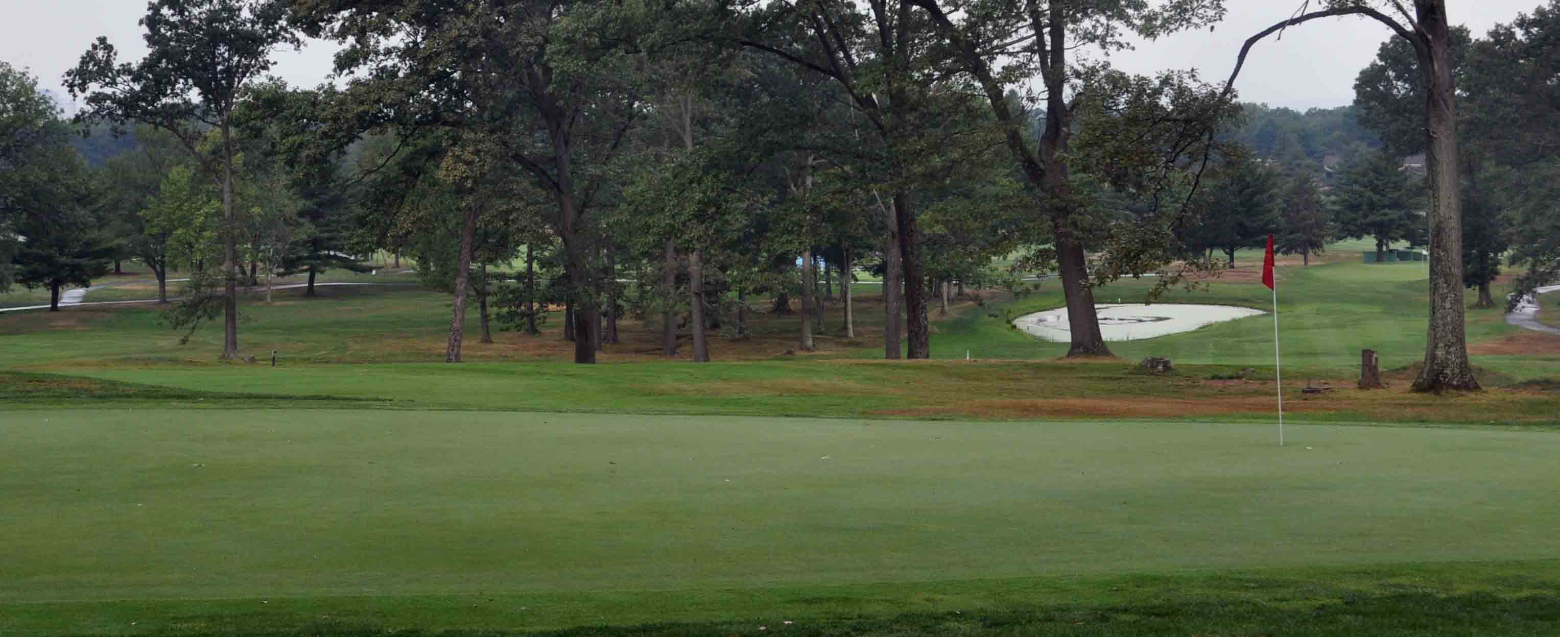 Hole 12 Image